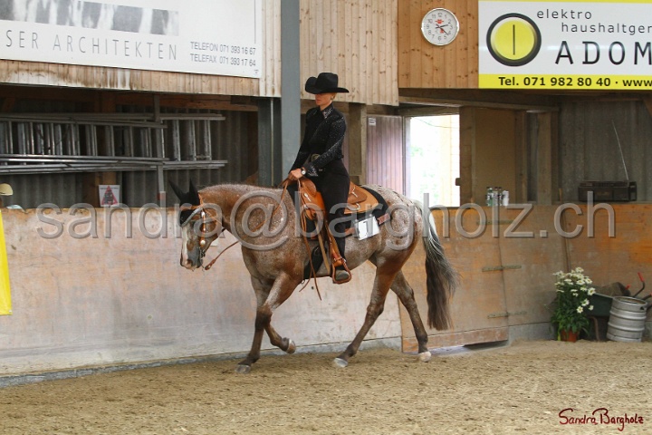 32-ApHC OWP_024.jpg